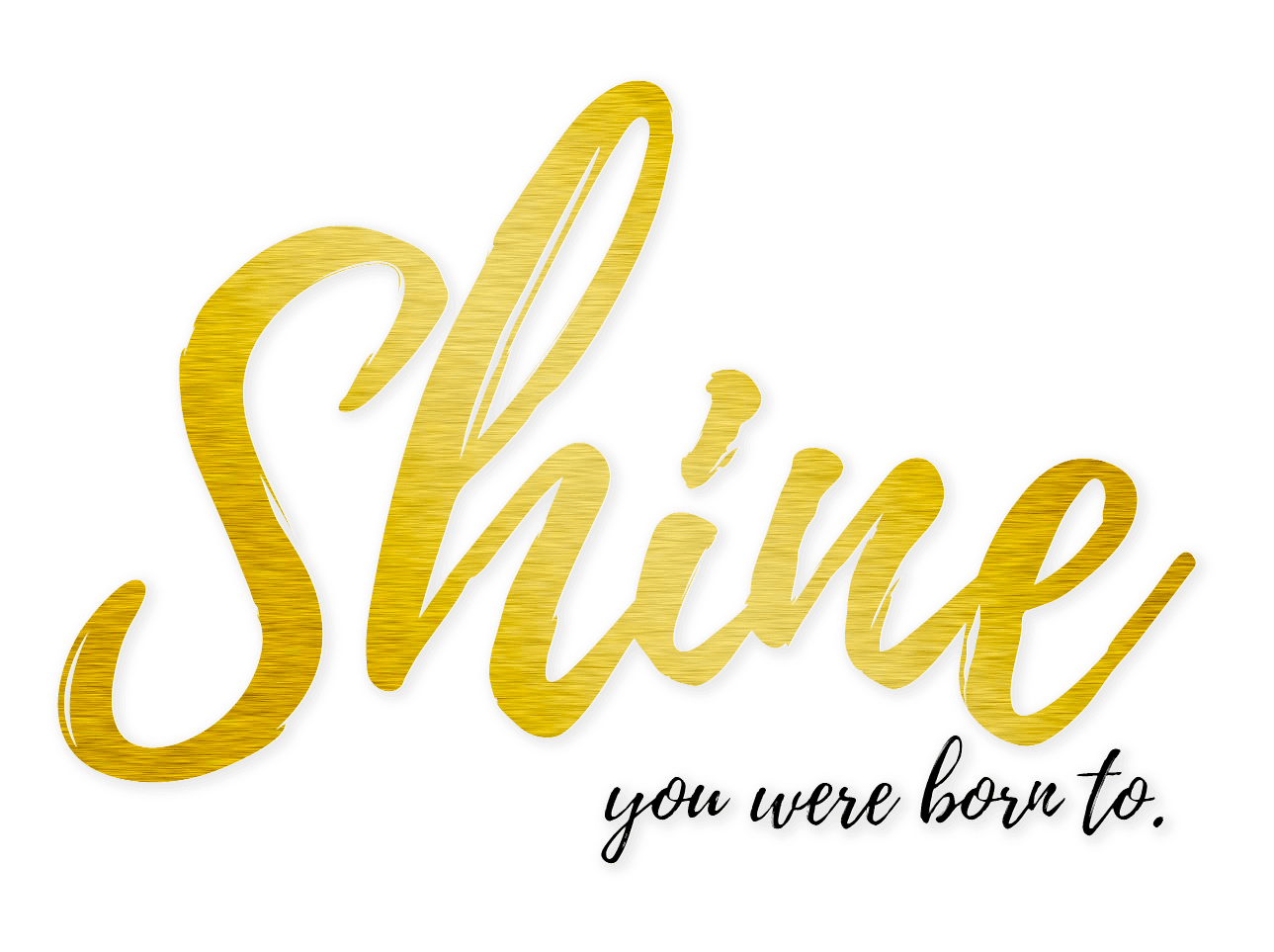 Shine est. Shine логотип. Shine надпись. Sunshine надпись. Шайн Голд.